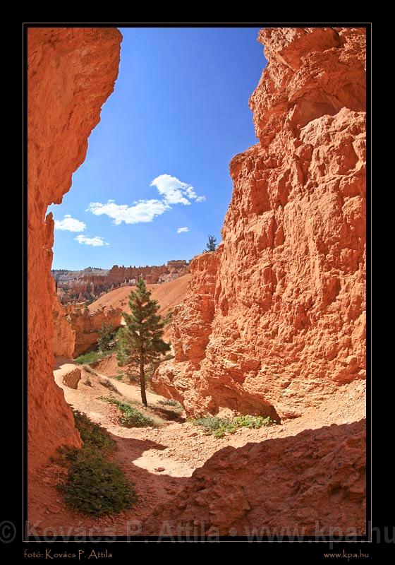 Bryce Canyon 45.jpg